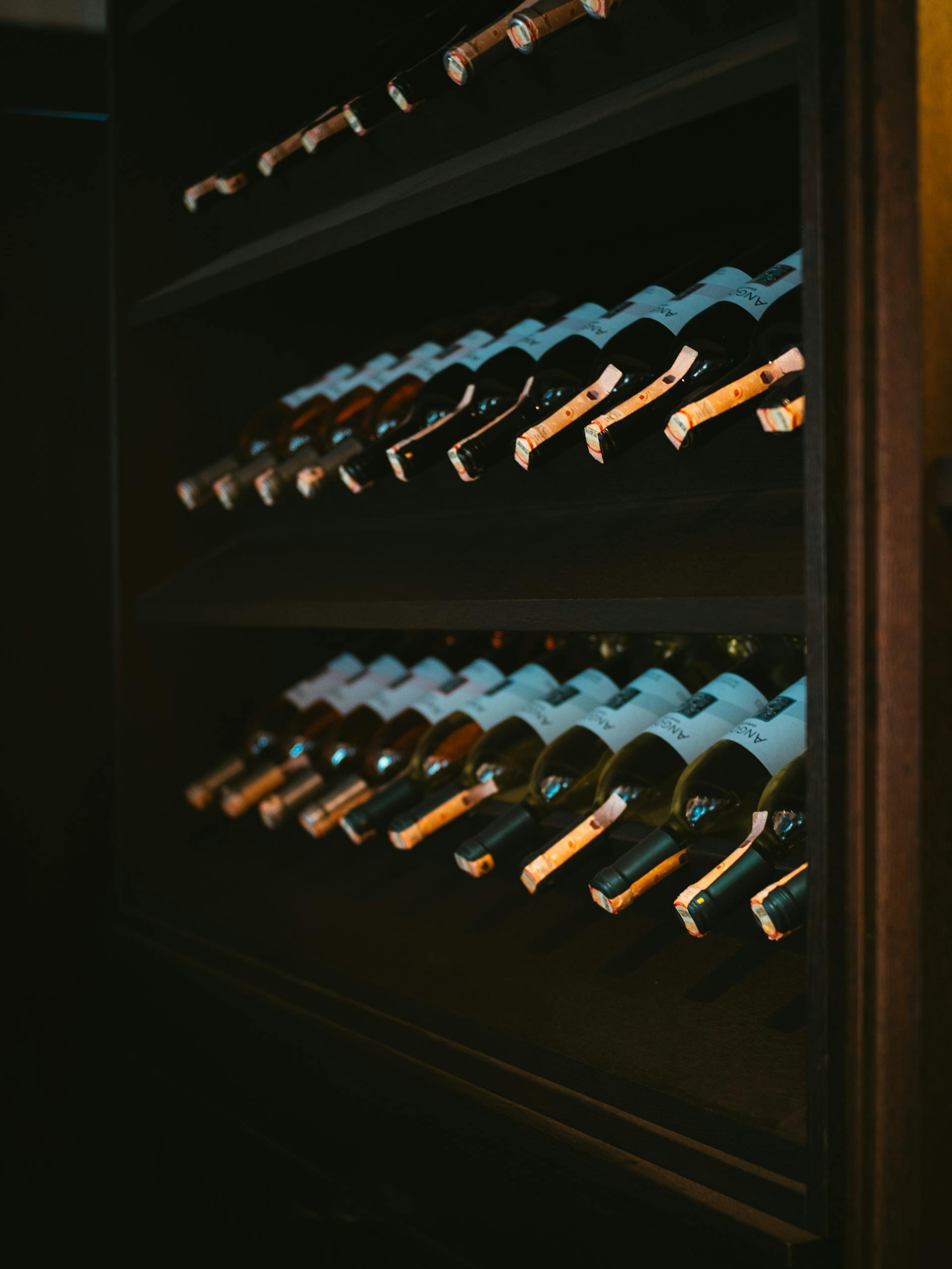 A dimly lit cellar with rows of wine bottles stored on shelves, creating a moody atmosphere.