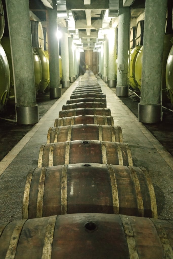 A long corridor in a winery showcasing rows of wooden barrels for aging wine, evoking a sense of tradition.