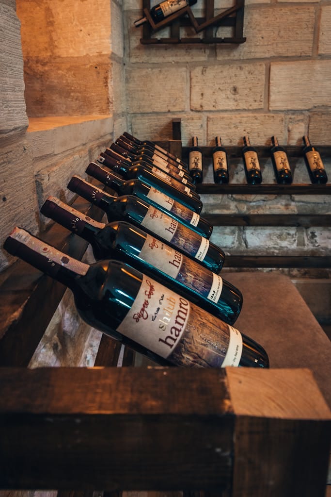 A selection of wine bottles lined up in a rustic cellar setting, showcasing elegance and vintage charm.