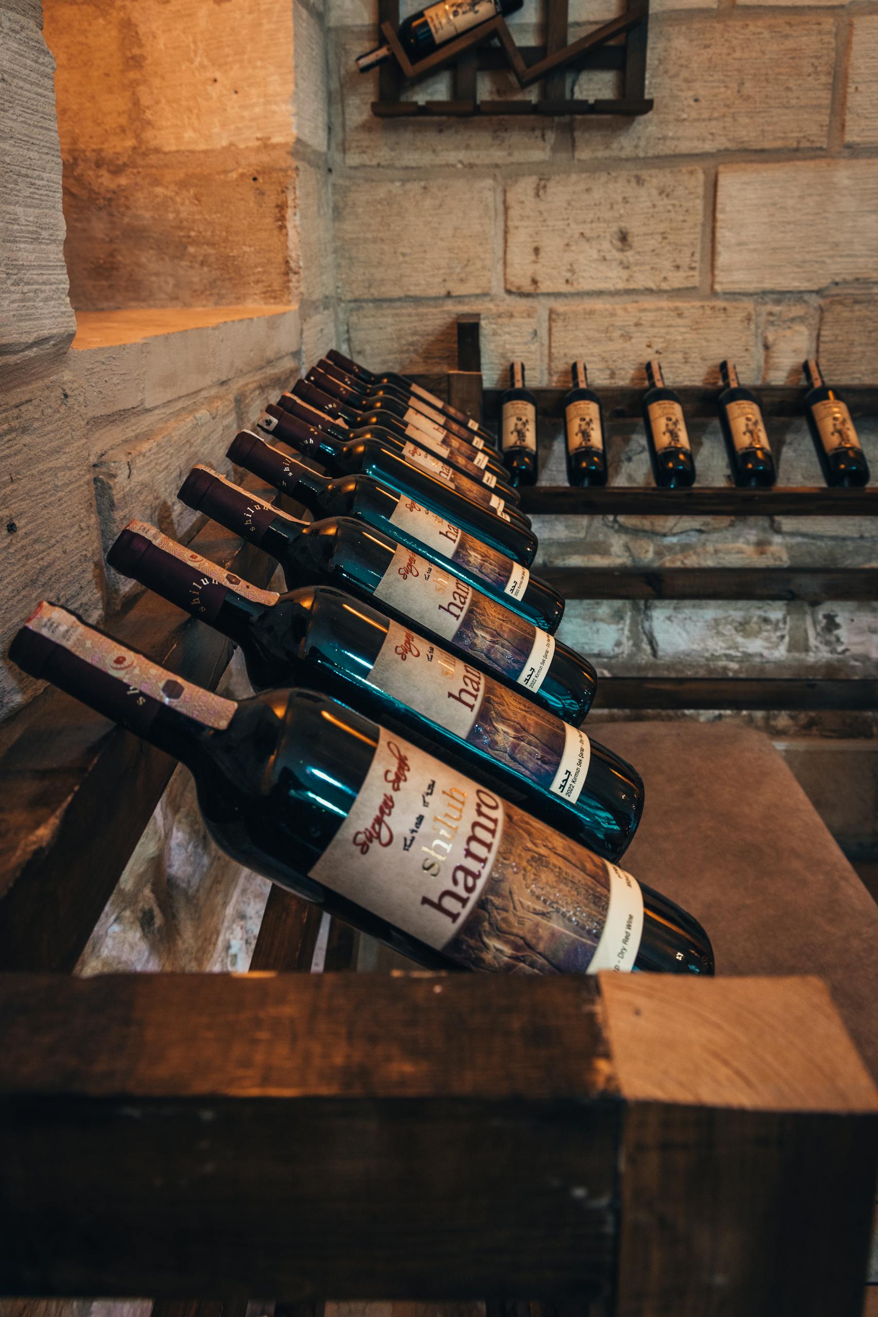 A selection of wine bottles lined up in a rustic cellar setting, showcasing elegance and vintage charm.
