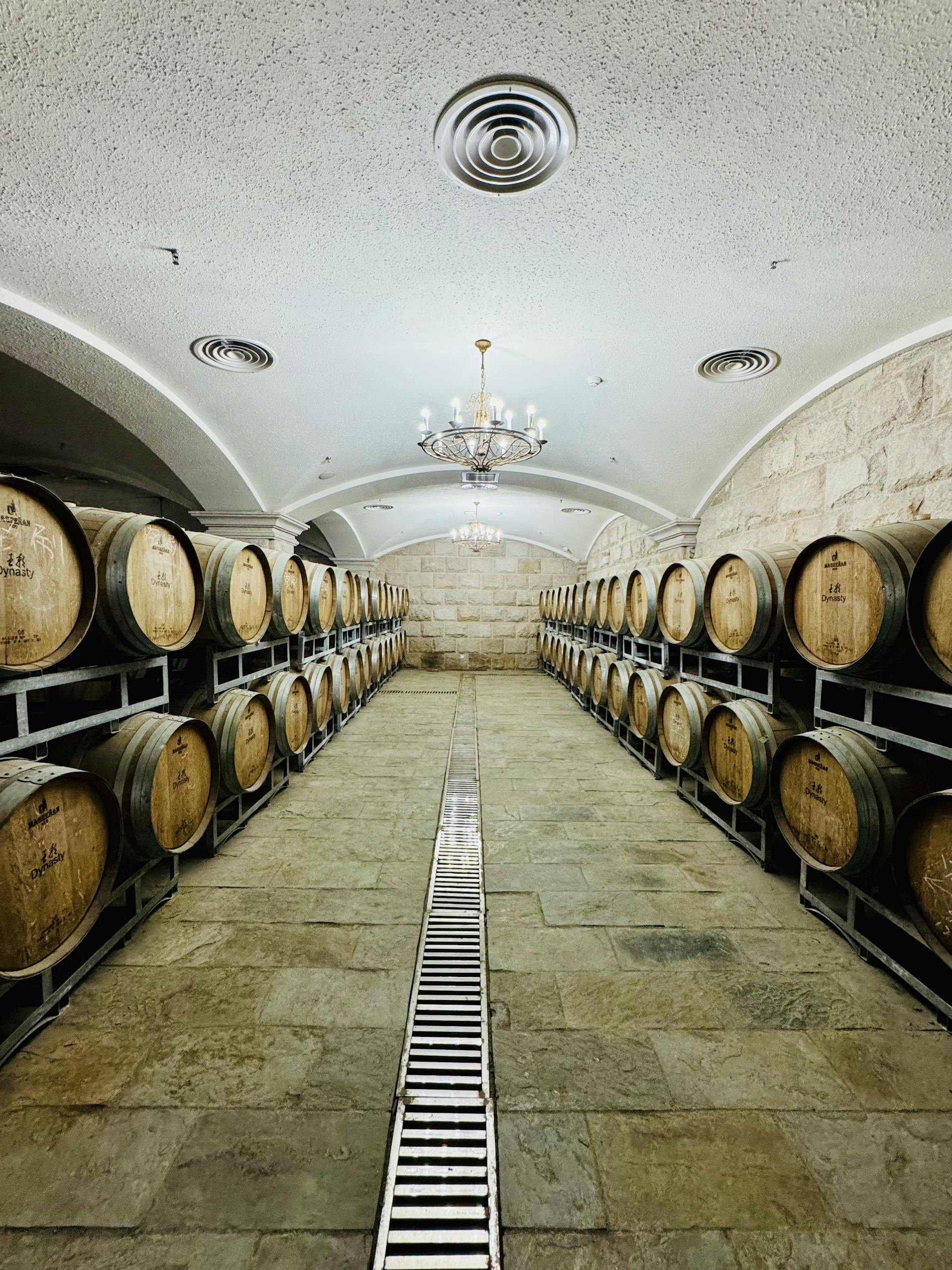 A sophisticated wine cellar with rows of oak barrels under a vaulted ceiling.