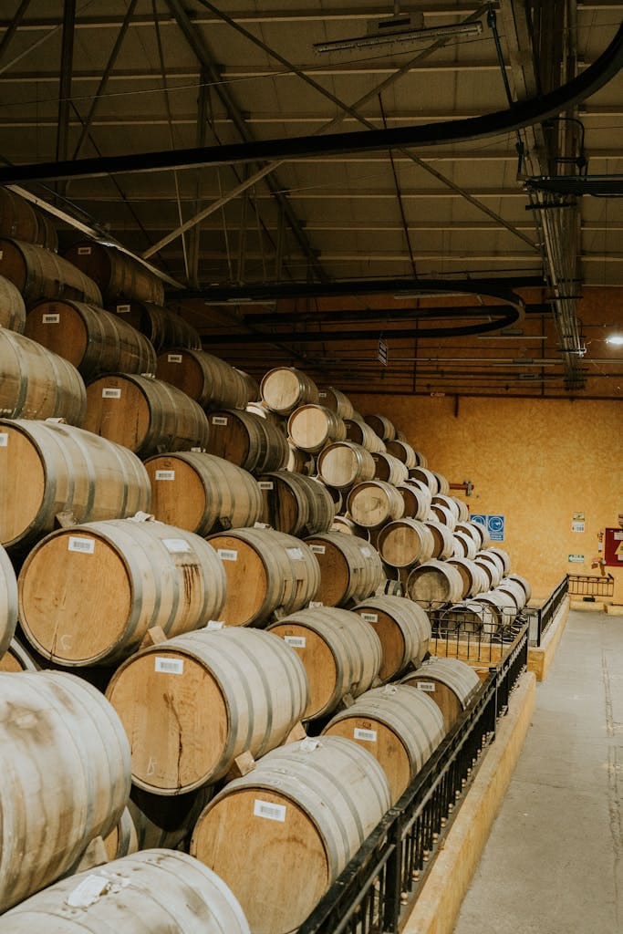 A view of neatly stacked wine barrels in a vineyard cellar, showcasing abundant wine storage.