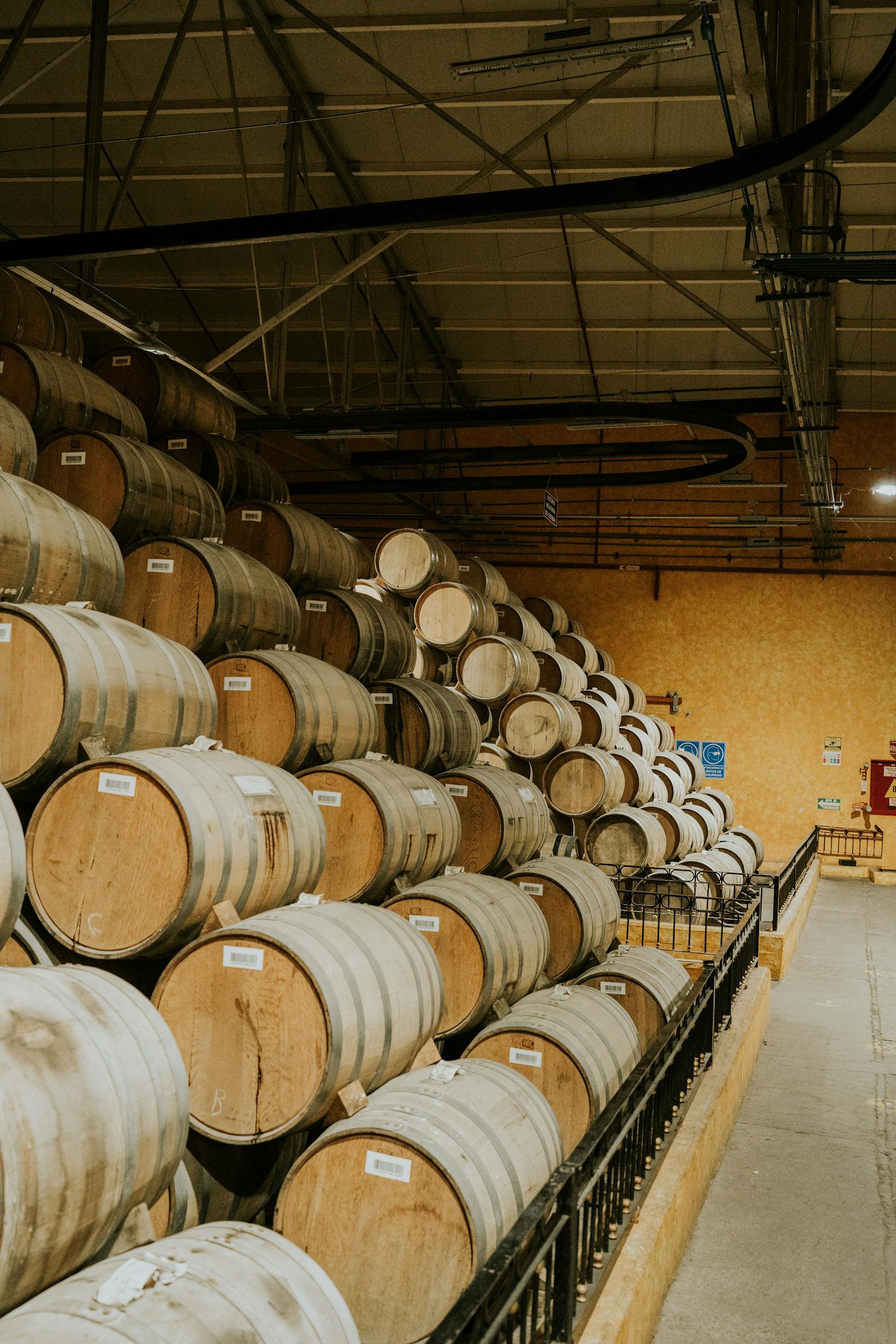 A view of neatly stacked wine barrels in a vineyard cellar, showcasing abundant wine storage.