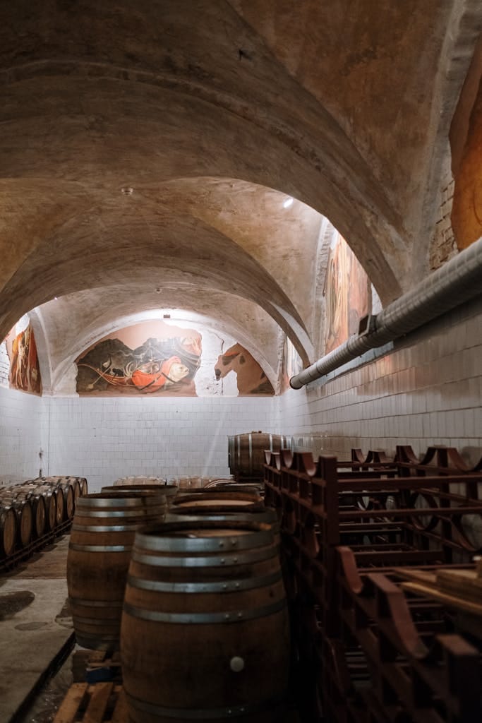 Atmospheric wine cellar featuring wooden barrels and arched ceilings.