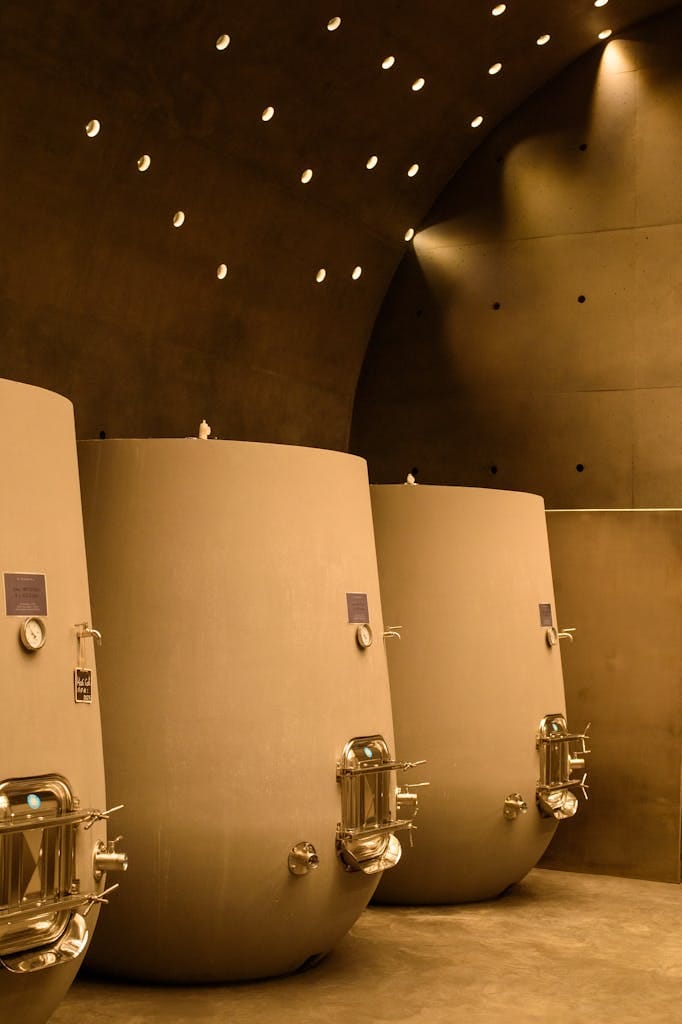 Elegant wine fermentation tanks in a dimly lit modern cellar interior.