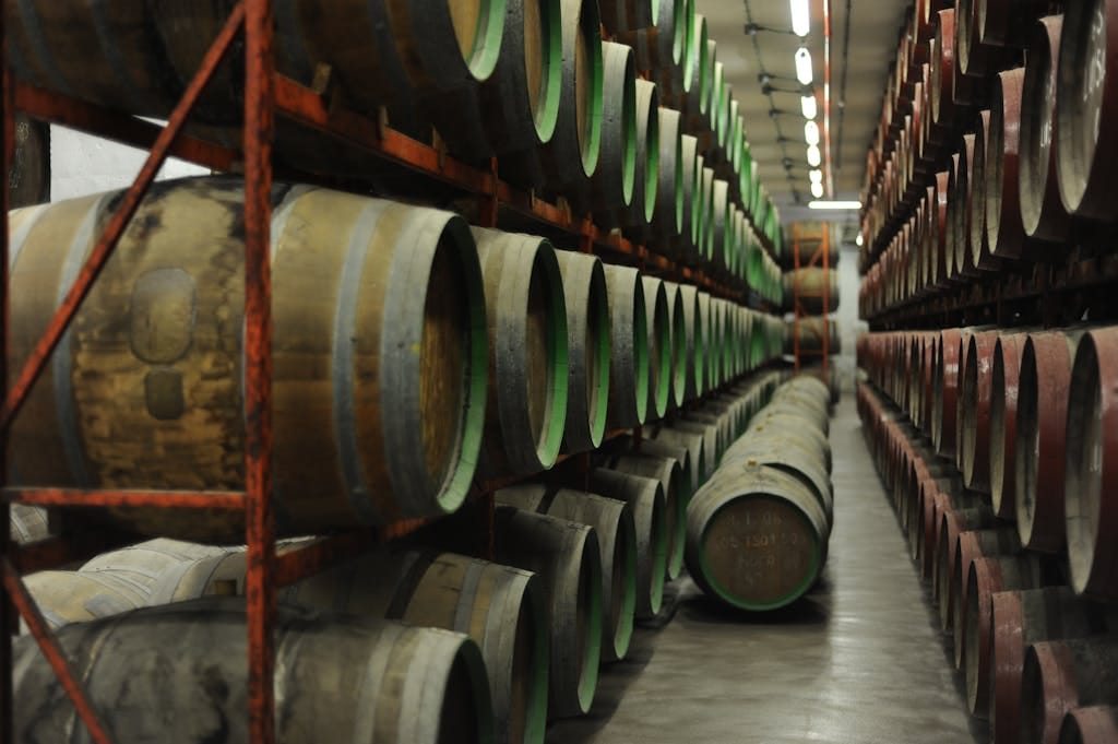 Rows of wooden barrels for aging wine stacked in an indoor storage cellar.