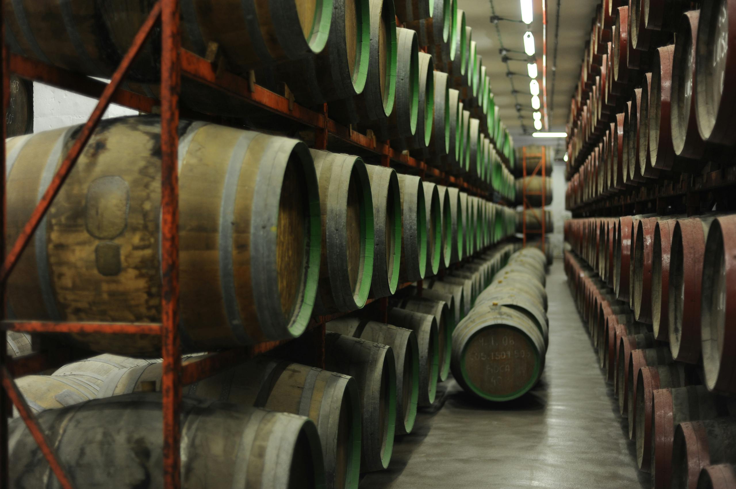 Rows of wooden barrels for aging wine stacked in an indoor storage cellar.