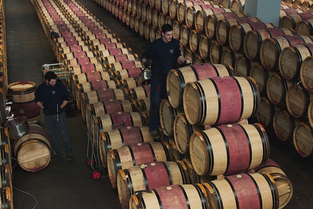 Workers managing oak barrels in a Margaux wine cellar, France.